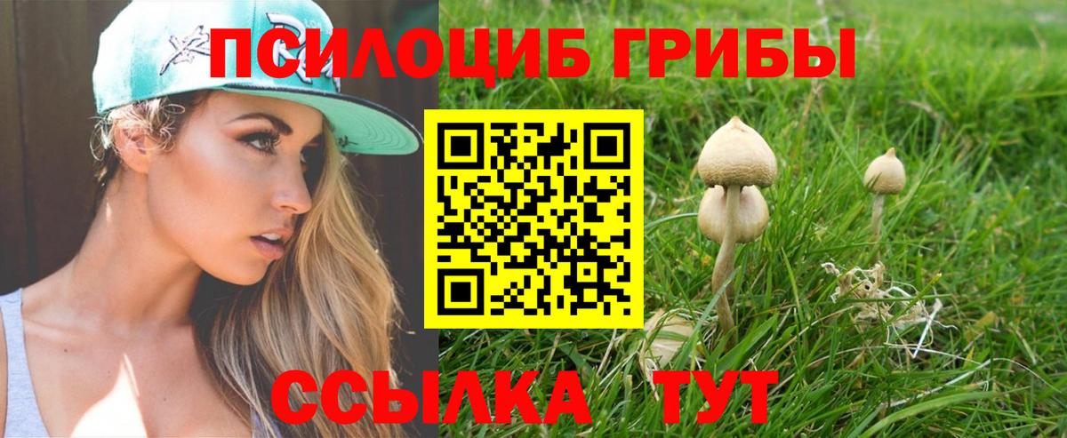 Галлюциногенные грибы мицелий  Вход с VPN  Галлюциногенные грибы Psilocybine cubensis  Чита 